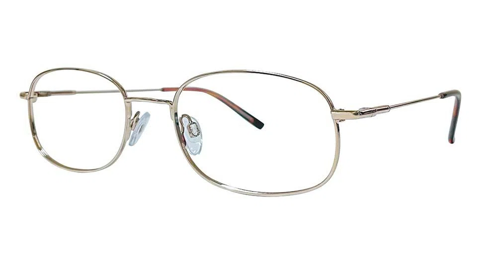 Stetson Stainless SSS602 Eyeglasses - Noir/gold - view 2